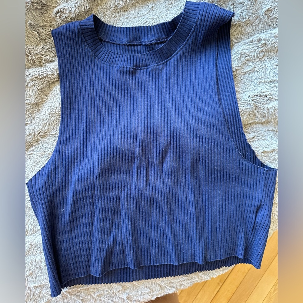blue aerie crop tank